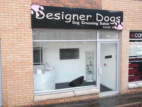 Designer Dogs photo